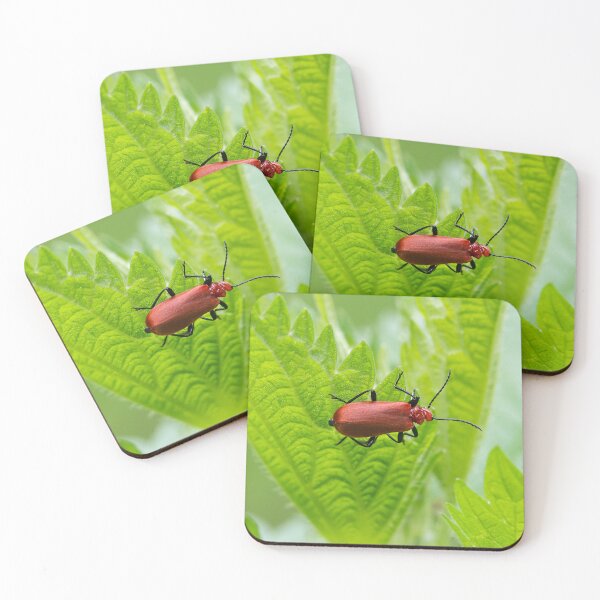 Item preview, A fire colored beetle sitting on a nettle designed and sold by Stefan Rotter.