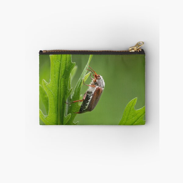 Item preview, A Maybug sitting on a green plant designed and sold by Stefan Rotter.