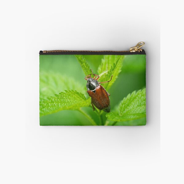 Item preview, A Maybug sitting on a green plant designed and sold by Stefan Rotter.