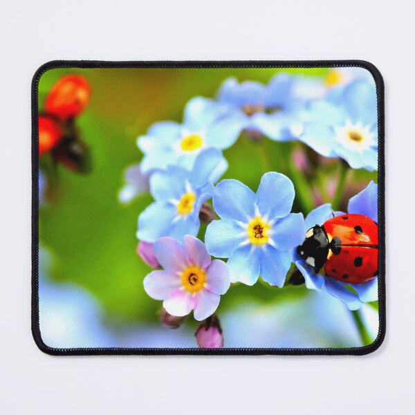 Item preview, Ladybird photo with high resolution quality designed and sold by Allyouneed-2.