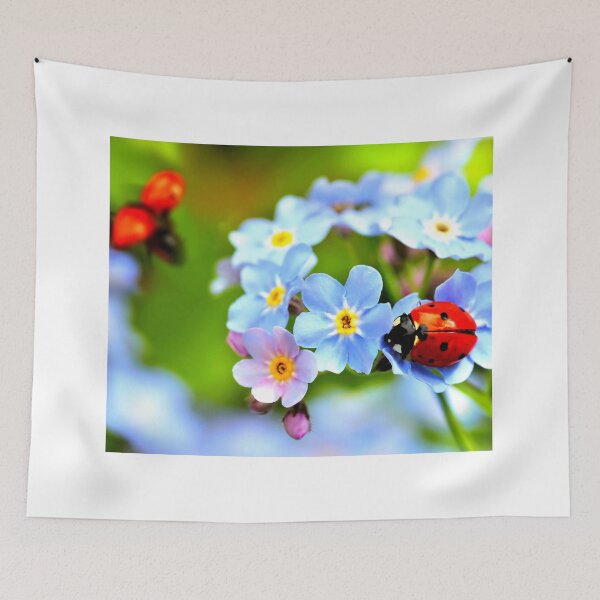 Item preview, Ladybird photo with high resolution quality designed and sold by Allyouneed-2.