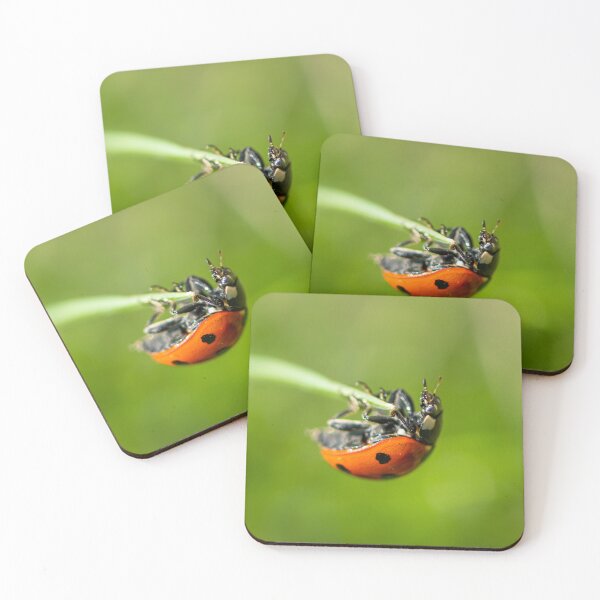 Item preview, A ladybird sitting on grass in a garden designed and sold by Stefan Rotter.