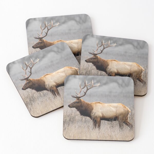 Item preview, Red Deer stag in Highland Scotland designed and sold by Monika Howarth.