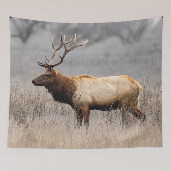 Item preview, Red Deer stag in Highland Scotland designed and sold by Artbymonika.