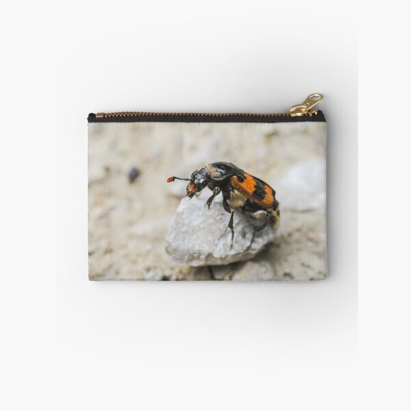 Item preview, A burying beetle sitting on a small rock designed and sold by Stefan Rotter.