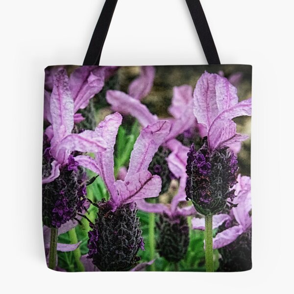 Item preview, Lavender Leith Park Victoria 20161026 7664  designed and sold by Fred Mitchell.