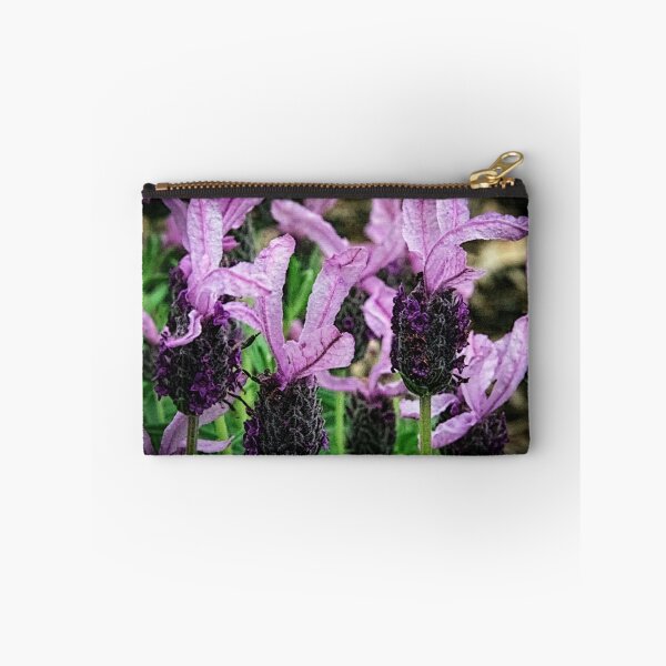 Item preview, Lavender Leith Park Victoria 20161026 7664 designed and sold by Fred Mitchell.