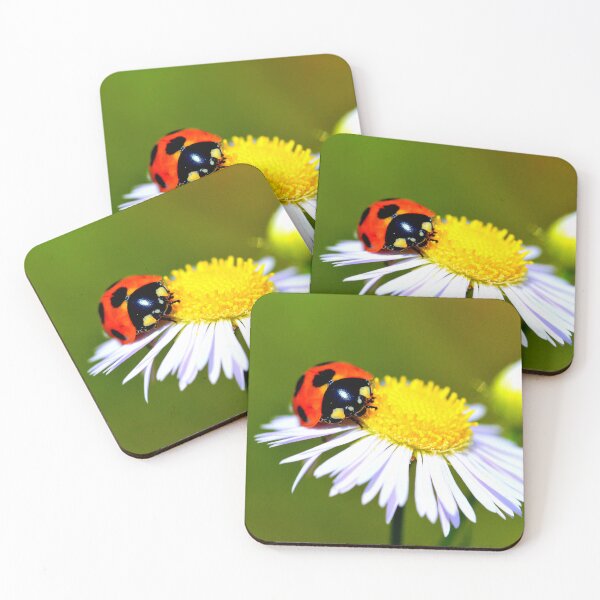 Item preview,  Ladybird photo with high resolution quality designed and sold by Allyouneed-2.