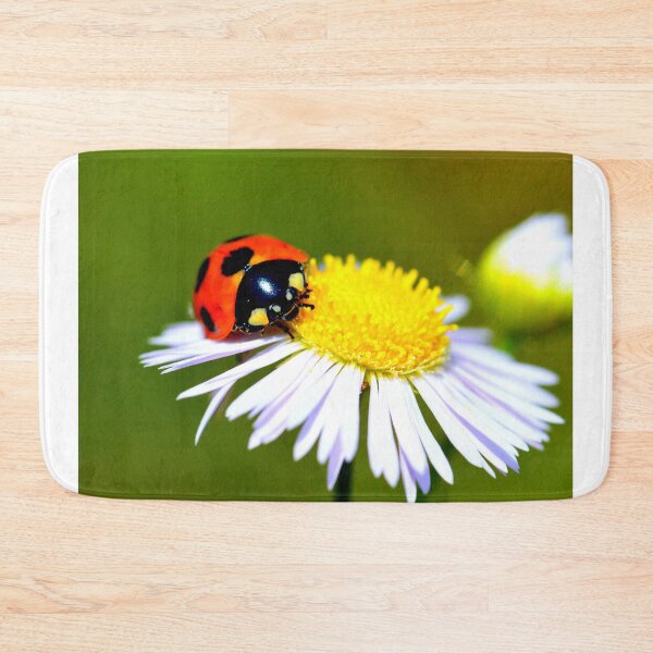 Item preview,  Ladybird photo with high resolution quality designed and sold by Allyouneed-2.