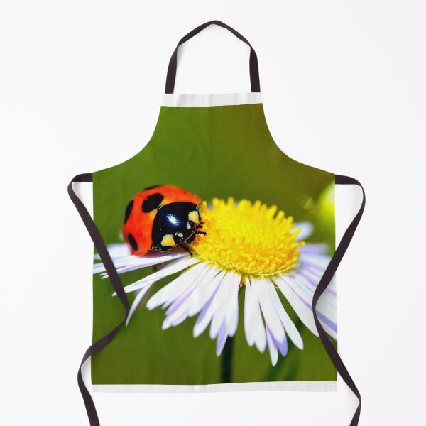 Item preview,  Ladybird photo with high resolution quality designed and sold by Allyouneed-2.
