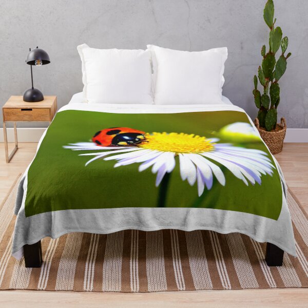 Item preview,  Ladybird photo with high resolution quality designed and sold by Allyouneed-2.