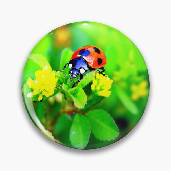 Item preview,  Ladybird photo with high resolution quality designed and sold by Allyouneed-2.