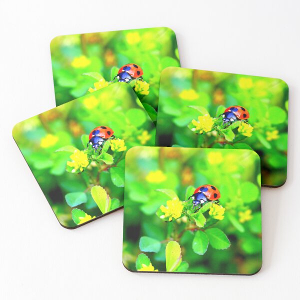 Item preview,  Ladybird photo with high resolution quality designed and sold by Allyouneed-2.