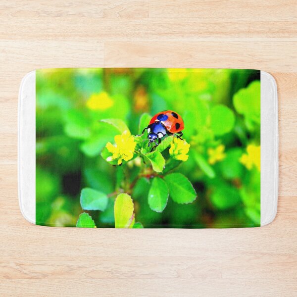 Item preview,  Ladybird photo with high resolution quality designed and sold by Allyouneed-2.