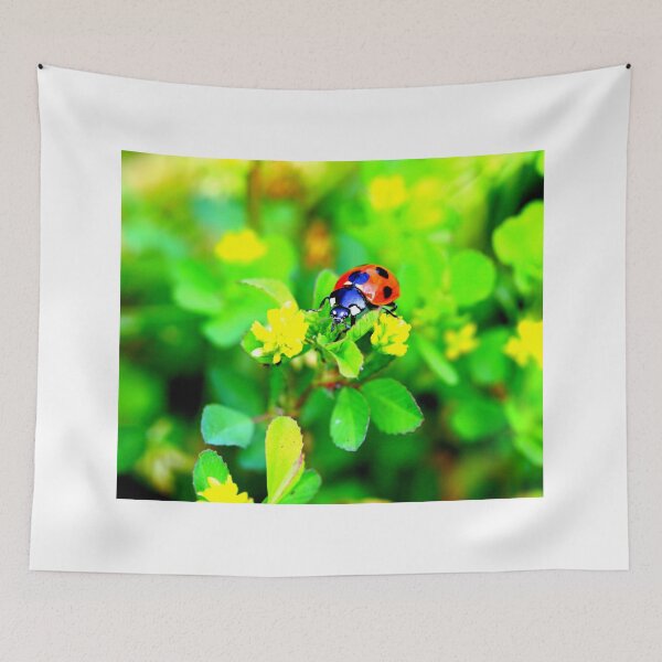 Item preview,  Ladybird photo with high resolution quality designed and sold by Allyouneed-2.