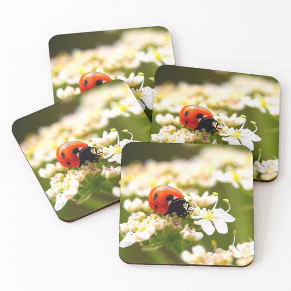 Item preview, Ladybird photo with high resolution quality designed and sold by Allyouneed-2.