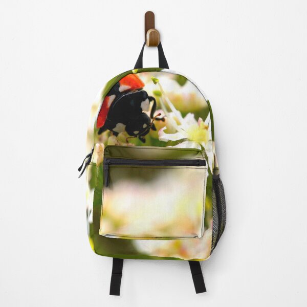 Item preview, Ladybird photo with high resolution quality designed and sold by Allyouneed-2.