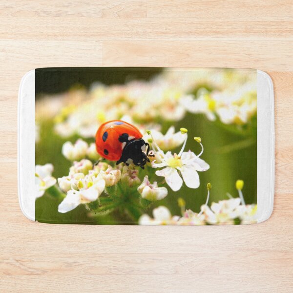 Item preview, Ladybird photo with high resolution quality designed and sold by Allyouneed-2.