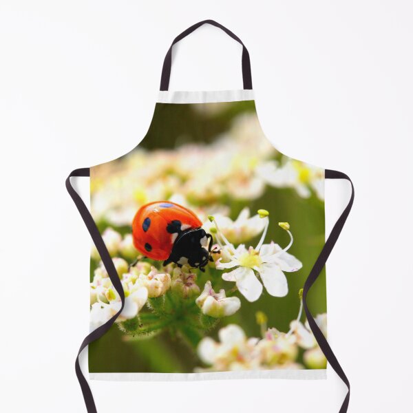 Item preview, Ladybird photo with high resolution quality designed and sold by Allyouneed-2.