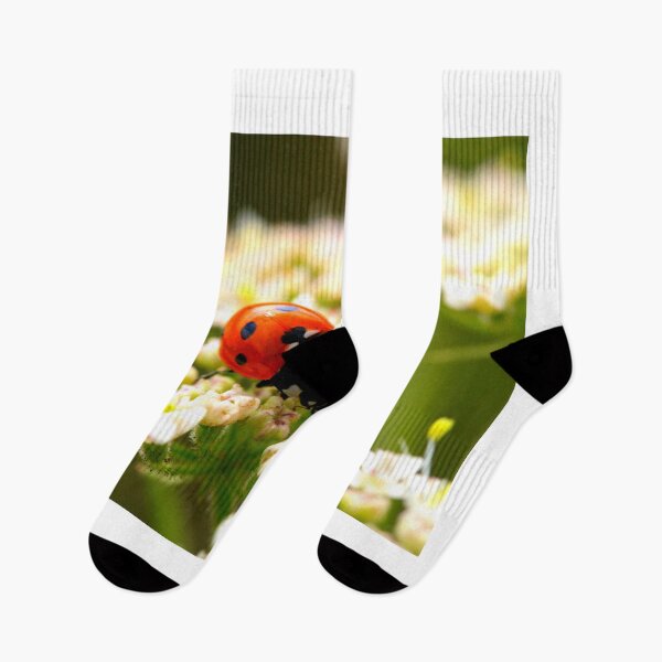 Item preview, Ladybird photo with high resolution quality designed and sold by Allyouneed-2.