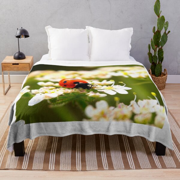 Item preview, Ladybird photo with high resolution quality designed and sold by Allyouneed-2.