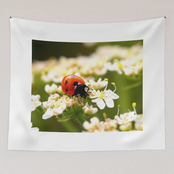 Item preview, Ladybird photo with high resolution quality designed and sold by Allyouneed-2.