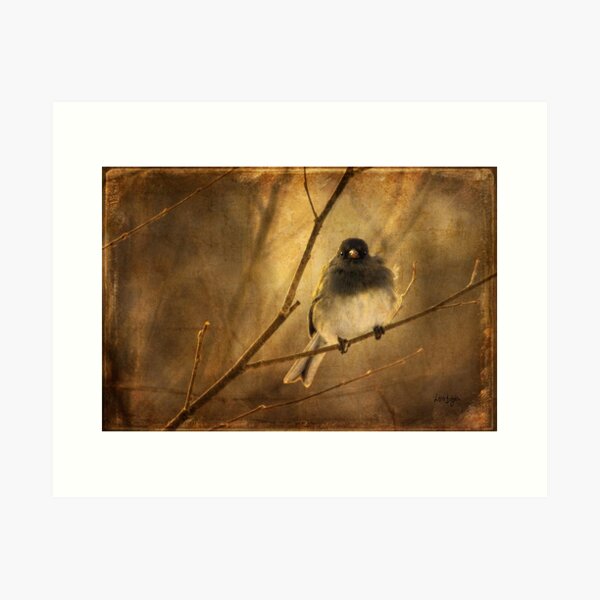 Item preview, Backlit Birdie Being Buffeted designed and sold by Lois  Bryan.