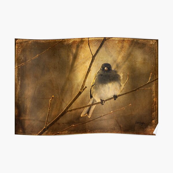 Backlit Birdie Being Buffeted Poster