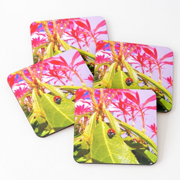 Item preview, Ladybird photo with high resolution quality designed and sold by Allyouneed-2.