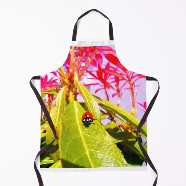Item preview, Ladybird photo with high resolution quality designed and sold by Allyouneed-2.