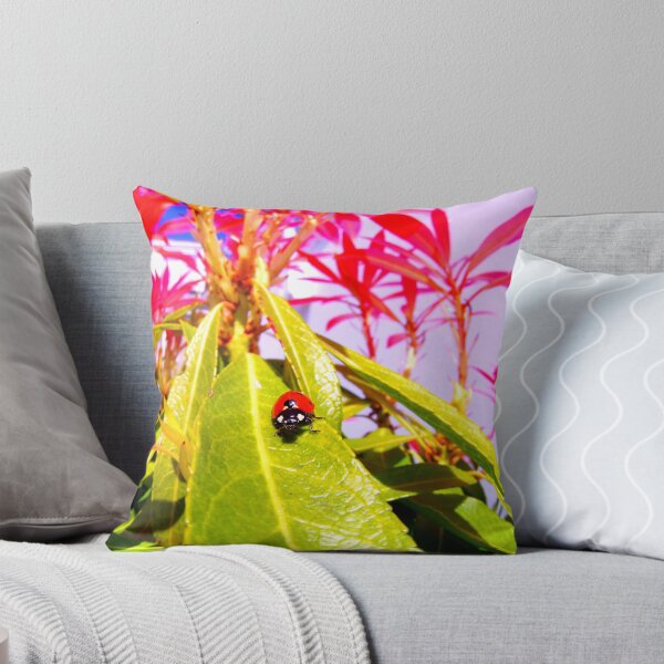 Item preview, Ladybird photo with high resolution quality designed and sold by Allyouneed-2.