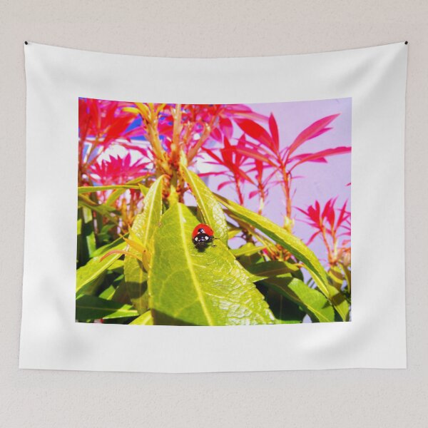 Item preview, Ladybird photo with high resolution quality designed and sold by Allyouneed-2.