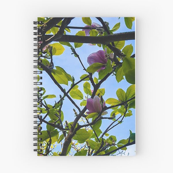 Aperçu de l'œuvre Magnolia créée et vendue par MyHeartAndFins.
