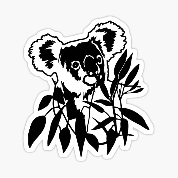 "Kola Bear Eucalypt branch Australia" Sticker by febyriana Redbubble
