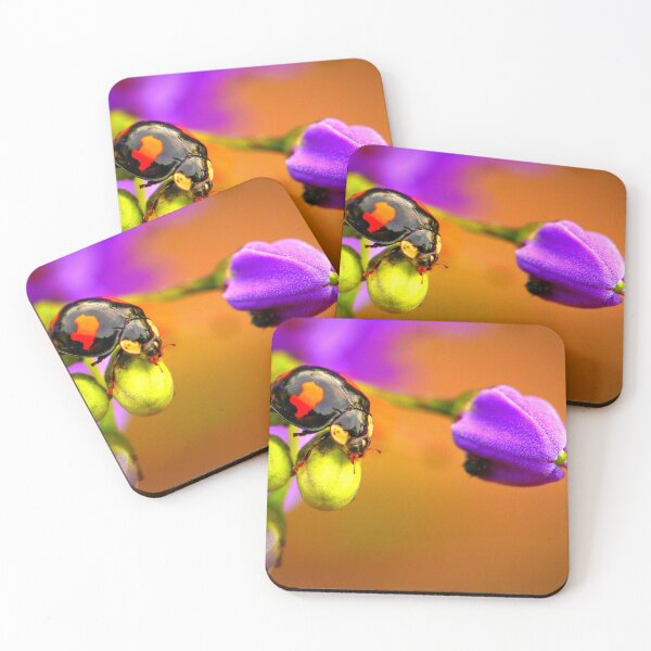 Item preview,  Ladybird photo with high resolution quality designed and sold by Allyouneed-2.