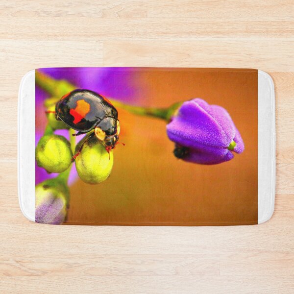 Item preview,  Ladybird photo with high resolution quality designed and sold by Allyouneed-2.