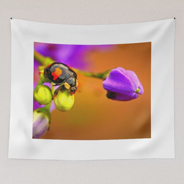 Item preview,  Ladybird photo with high resolution quality designed and sold by Allyouneed-2.