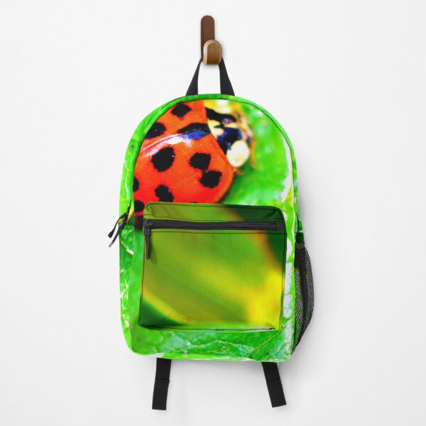 Item preview, Ladybird photo with high resolution quality designed and sold by Allyouneed-2.