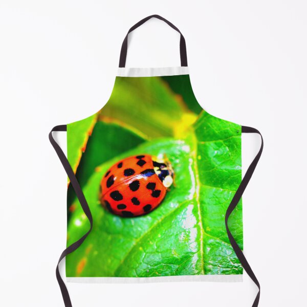 Item preview, Ladybird photo with high resolution quality designed and sold by Allyouneed-2.