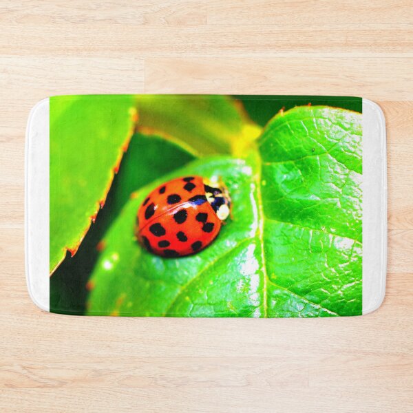 Item preview, Ladybird photo with high resolution quality designed and sold by Allyouneed-2.