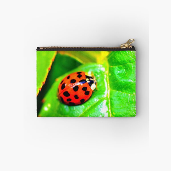 Item preview, Ladybird photo with high resolution quality designed and sold by Allyouneed-2.