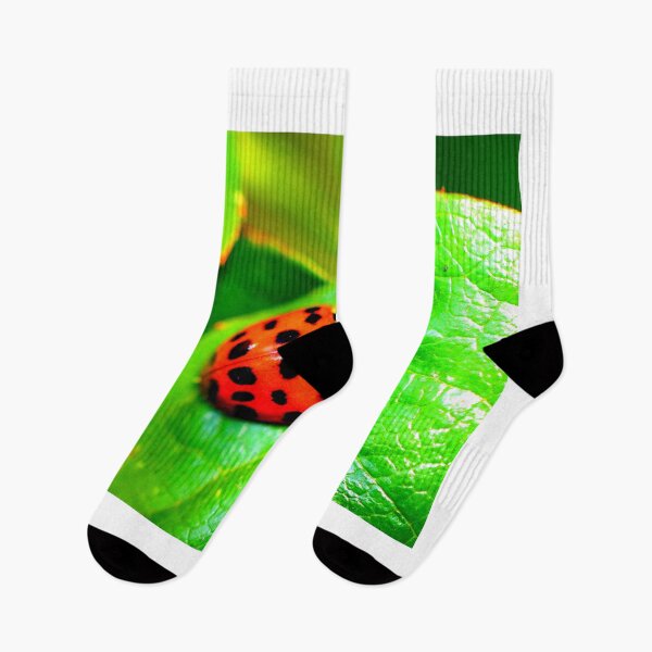 Item preview, Ladybird photo with high resolution quality designed and sold by Allyouneed-2.