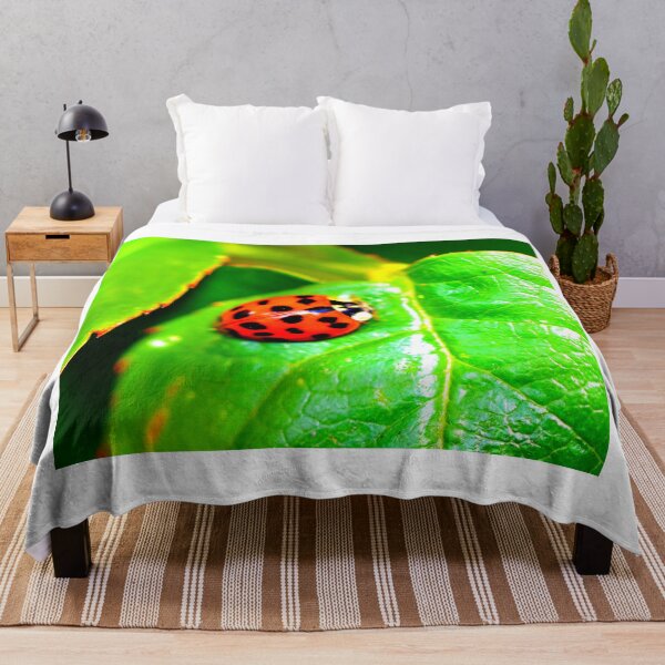 Item preview, Ladybird photo with high resolution quality designed and sold by Allyouneed-2.