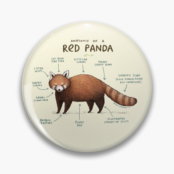 Item preview, Anatomy of a Red Panda designed and sold by SophieCorrigan.