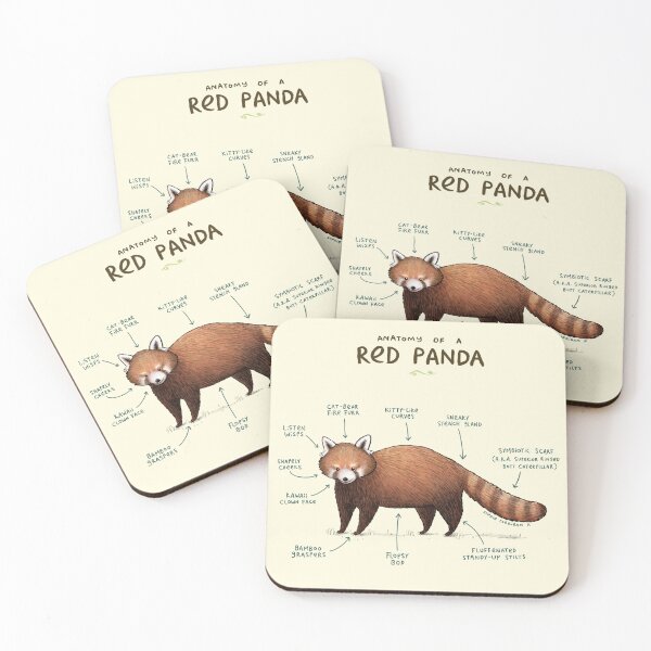 Item preview, Anatomy of a Red Panda designed and sold by SophieCorrigan.