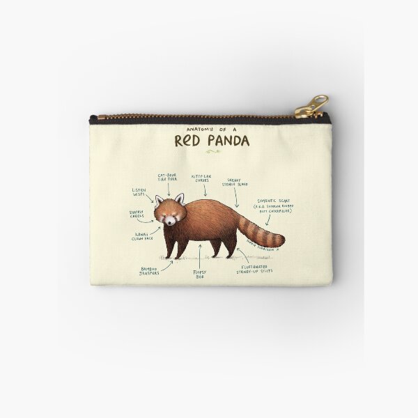 Item preview, Anatomy of a Red Panda designed and sold by SophieCorrigan.