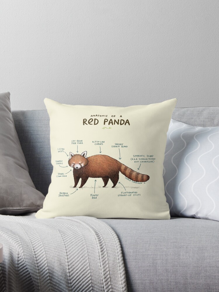 Anatomy of a Red Panda Pillow for Sale by Sophie Corrigan Redbubble