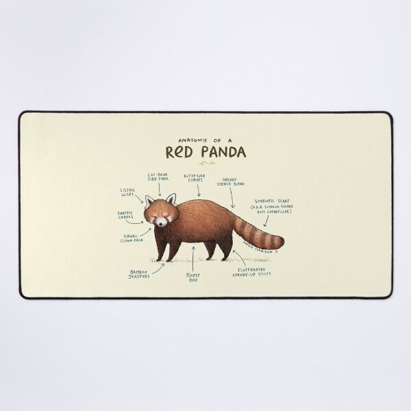 Item preview, Anatomy of a Red Panda designed and sold by SophieCorrigan.