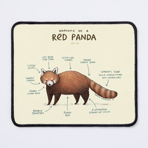 Item preview, Anatomy of a Red Panda designed and sold by SophieCorrigan.