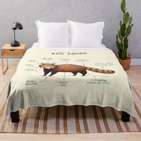 Item preview, Anatomy of a Red Panda designed and sold by SophieCorrigan.